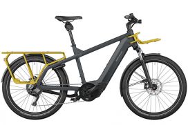 R&M Multicharger GT touring utility grey/curry matt
