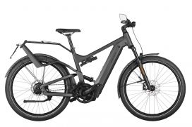 R&M Delite4 GT rohloff HS Urban grey