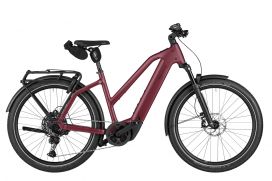 Riese & Müller Charger5 Mixte