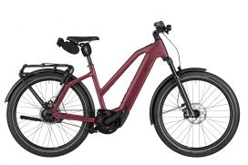 Riese & Müller Charger5 Mixte