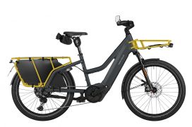 Riese & Müller Multicharger Mixte touring HS